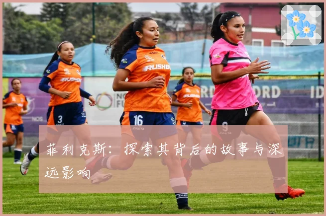 菲利克斯：探索其背后的故事与深远影响