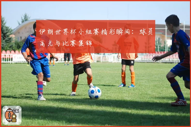 伊朗世界杯小组赛精彩瞬间：球员高光与比赛集锦